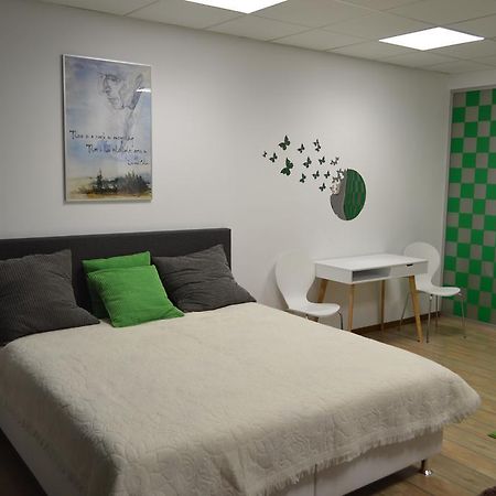 Ferienwohnung Vasarely Luxury Flat Satu Mare Exterior foto